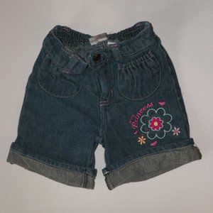 Girls Disney Princess Embroidered Jean Shorts 2T